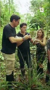 Los socios conocieron parte de los beneficios de la Sangre de Grado 🤯 #SociosPorElMundo4