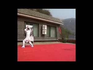 Liang-shi bagua - longxing zhang 梁式八卦龙形掌