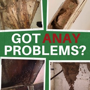 1.2K views | Unveiling the success behind our December operation –...