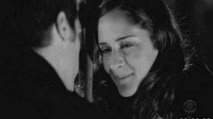 Watch Cold Case Season 3 Episode 14 - Dog Day Afternoons