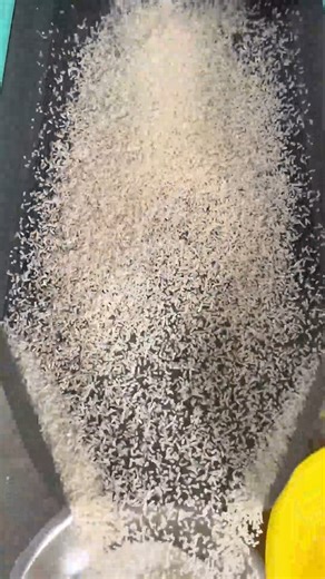 13K views · 92 reactions | The rubber roller huller can process 550 to 700 kg of rice per hour. The yield reaches 73% and the grains are fully developed. #automaticricemill #RiceFarmers #AgriBusiness #FarmCooperative | Backbone machinery | Facebook