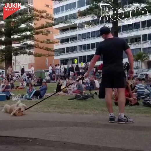 Someone was having too much fun at the park. 😂 | People