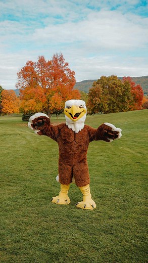 1.1K views · 44 reactions | ✨ The Dancing with the Stars finale might...