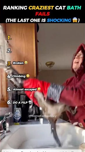 Ranking The FUNNIEST Cat Bath Fails 🤣🙏