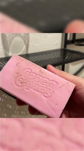 Scrub Daddy Damp Duster – Real Dust Pickup Test | Home Essentials #14