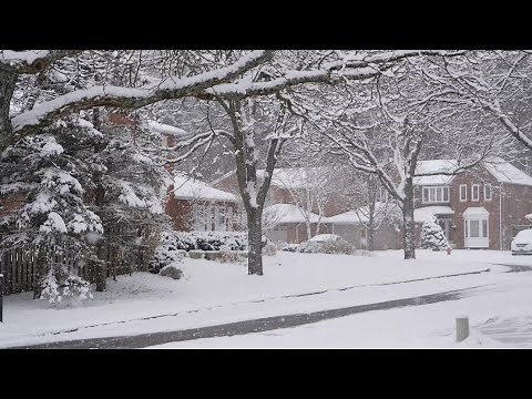 Winter Heavy SNOWFALL in Canada 🇨🇦 Relaxing Winter Walk 4K