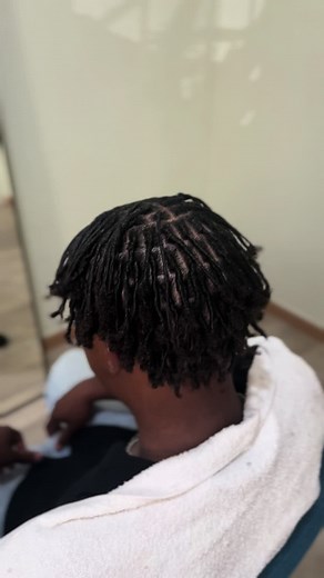 Starter locs with coils method 🤍🌱 #starterlocs #locs #dreadhead #fypシ #fy