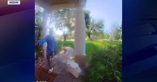 WATCH: Angry raccoon chases Orlando woman, dog into home