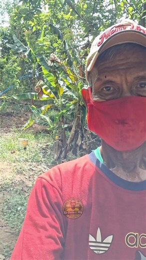Malaking Ahas sa Taniman ng Luya: Hindi Tinuklaw | Provincial Life