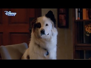 Dog With A Blog - Avery Schools Tyler - Official Disney Channel UK HD