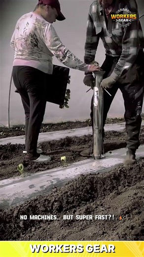 Smart Seedling Planting Technique Using Manual Hole Puncher for Faster and Uniform Transplanting