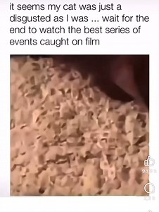 1.2M views · 20K reactions | Dog farts and cat puke | Cats are Metal | Facebook