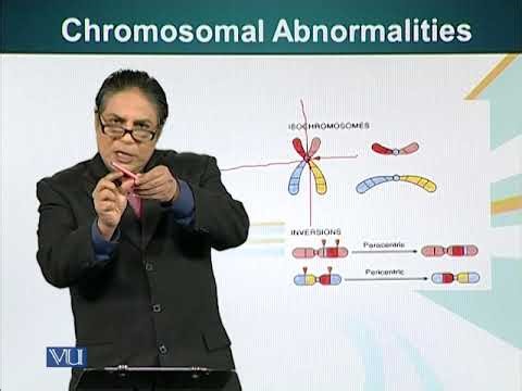 Cytogenetic Disorders | Cell Biology | BIO5105_Topic207