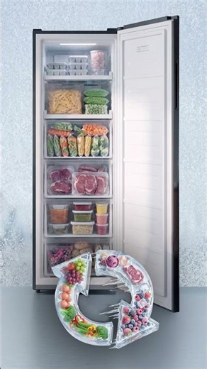 BENNETT READ 206L UPRIGHT FRIDGE_FREEZER