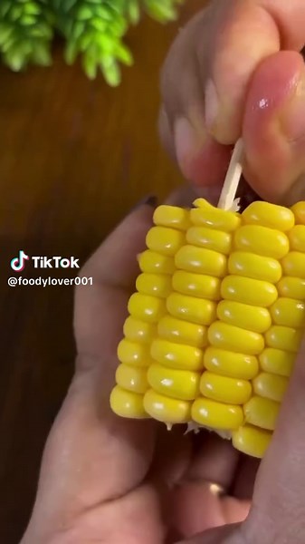 Explore Authentic Desi Cooking Recipes