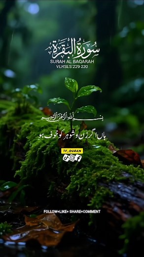 The Ancient 4,500-Year-Old Tunic at the Egyptian Museum. . . . . . . . #AncientDiscoveries #AlienMummy #OutofthisWorld #historyfacts #history #community #heritage #archaeoloynews #archaeologist #archaeology #archaeological #archaeologylife #romanempire #roman #RomanBritain #romanbritain #historylovers #historyinthemaking #historymatters #history #historyfactscl #Fall2024Trends | Quran Recitation