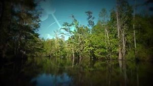 RICK SPRINGFIELD - The Voodoo House (2018) – смотреть видео онлайн в Моем Мире | Дядя Дима