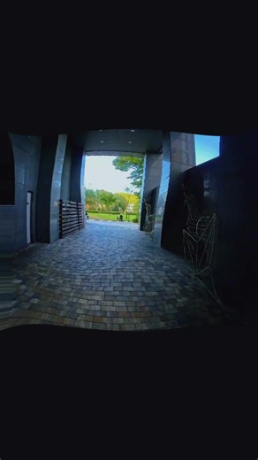 #스즈키 #하야부사 #밤바리 #성수RSG #잠수교