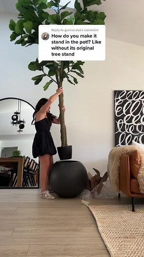 Replying to @gunner.dox How I got our Christmas tree into this sphere planter! The stand fits in there. I’ll share how I put our smaller tree in the other planter soon! Both are on my website! #homesweetjones #crateandbarrel #christmasdecor | Serene Nest