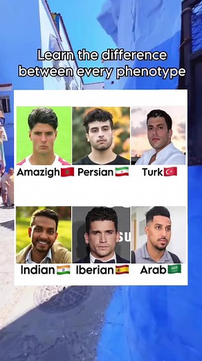 Cultural Phenotype Diversity: Exploring Identities Across Arab, Persian, Turkish, and More