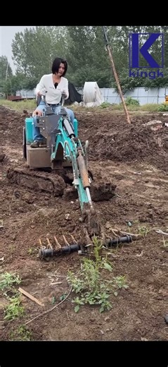 Testing the New Root Rake on my Mini Digger! (Game Changer)
