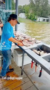 1.8M views · 7.3K reactions | Colt Rollins at it AGAIN! #FishOn #texasfishingguide #cedarcreeklake BigCrappie.com Fishing Guide & Instruction Service @topfans Dallas Fishing Charters 903Fishing.com | BigCrappie.com Fishing Guide & Instruction Service | Facebook