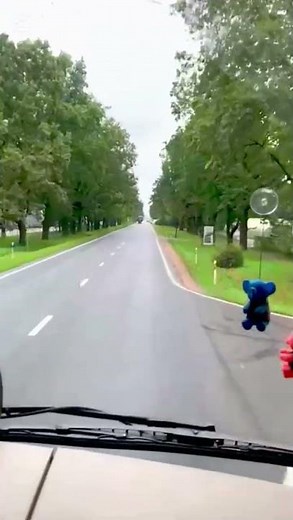 Latvia to Lithuania truck journey. #youtubetips #hafizdastgeer #subscriberkaisebadhaye#duet #love