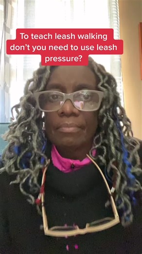 Recipe: Build value in the position. Reinforce the behavior. Add the leash later.#dogtrainer #dogtraining #positivereinforcement #fyp