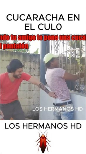 Cockroach in my pants 🤣