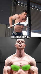 388K views · 2.4K reactions | Dips vs Bench Press: Chest Muscles Explained | FitnessFAQs | Facebook