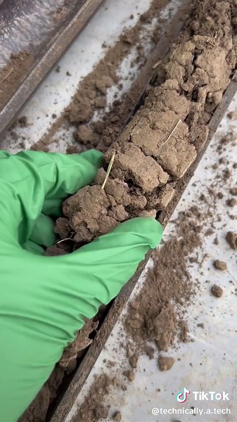 Understanding Soil Erosion: A Guide to Environmental Science