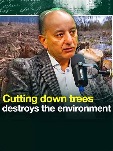 Impact of Tree Cutting on the Environment