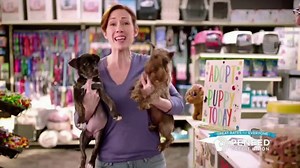 PenFed Power Cash Rewards TV Spot, 'Cash Back on Everything'