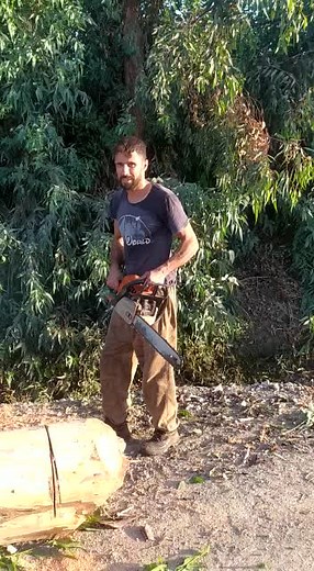 Mastering Chainsaw Techniques for Log Cutting