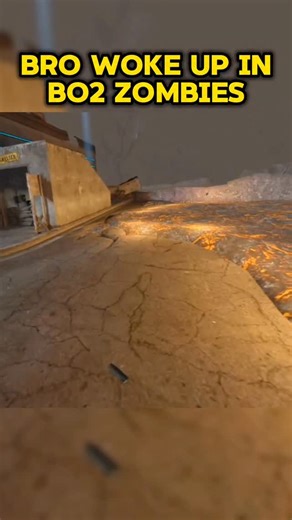 Stevie The Savage on Instagram: "Bro woke up in Bo2 Zombies"