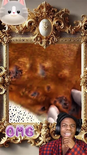 Understanding Parasites in Dogs and Cats