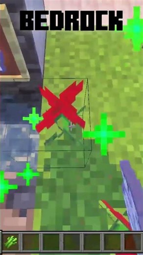 Minecraft Java VS Bedrock ( Poudre d'os )