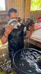bathe and get fish | Kang Cecep Cianjur