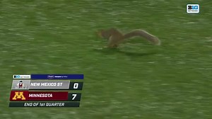 20K views · 438 reactions | WE HAVE A SQUIRREL ON THE FIELD IN MINNESOTA  cc: Minnesota Football | College Football on FOX | Facebook