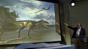 Fossil find sheds light on how evolution produced T. rex
