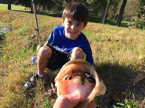 How to Catch Bass on a Live Bluegill by 1Rod1ReelFishing