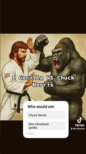Gorilla vs. Chuck Norris: Who Would Win?