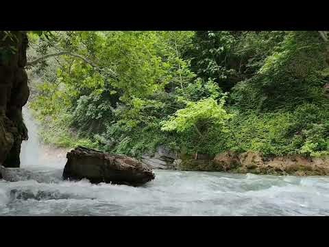 Flowing Creek Sounds for Relaxation | 1 Hour of Peaceful Nature Ambience / 4K