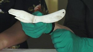 The Lives of the Wealthy: A musical instrument - ABC Education