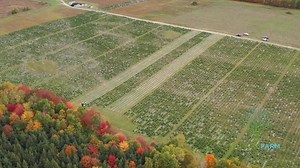 12 reactions | Hemp farm tour of 60,000 acres. Potential clients...