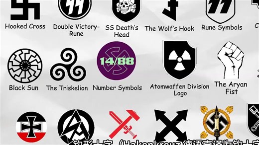 德国人解释的每一个纳粹符号 Every Nazi Symbol Explained By a German
