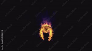 Flying burning bird eagle on a transparent background