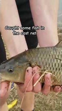 Carp in catfish in the cast net! #fishing #catchingfish