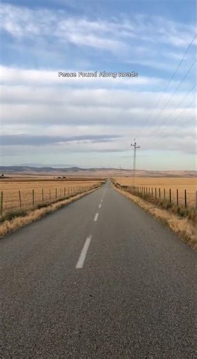 Peaceful Open Road Through Nature's Golden Fields