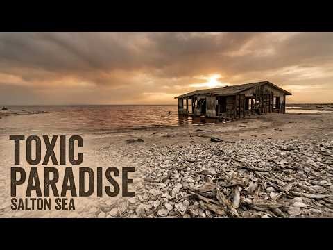 California’s Toxic Paradise: Inside the Abandoned Salton Sea Riviera